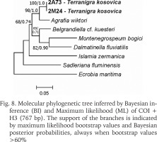 https://www.foliamalacologica.com/f/fulltexts/172146/FM-31-021-g006_min.jpg